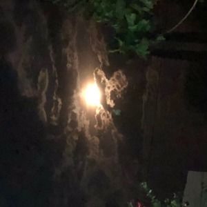 Meet your Posher, Azucena